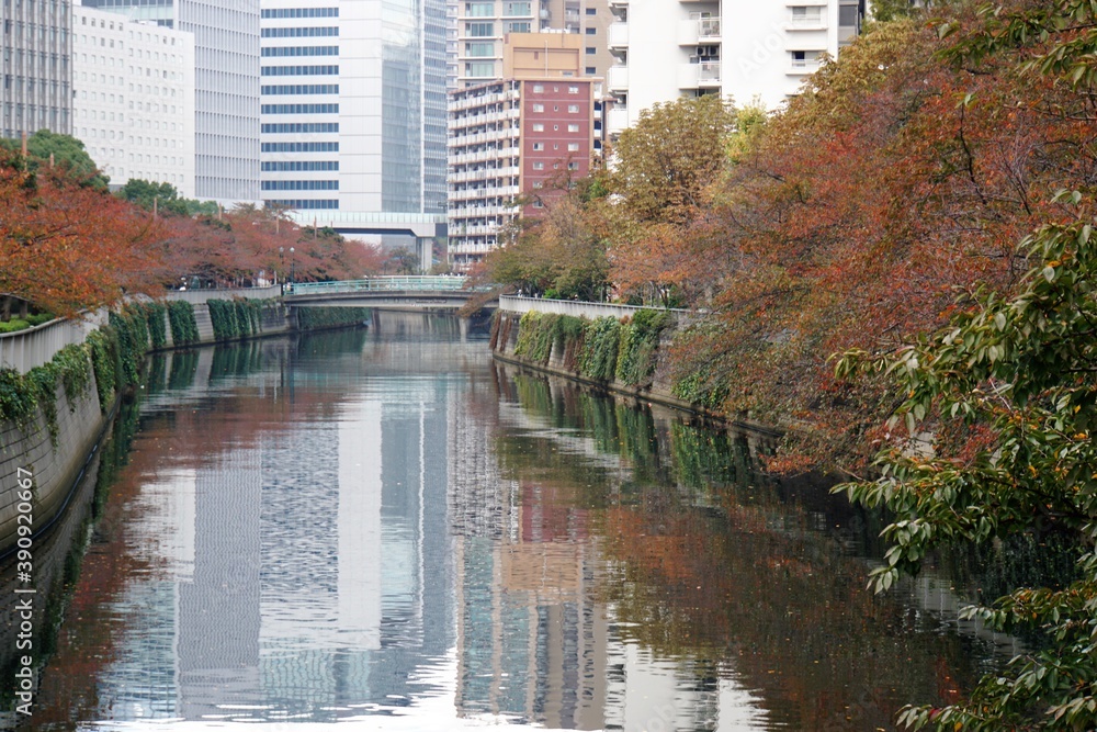 大崎付近の風景 大崎付近の風景