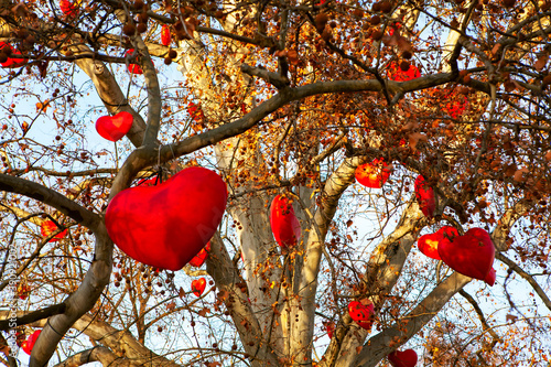 Canvas Print Hearts growing on a tree