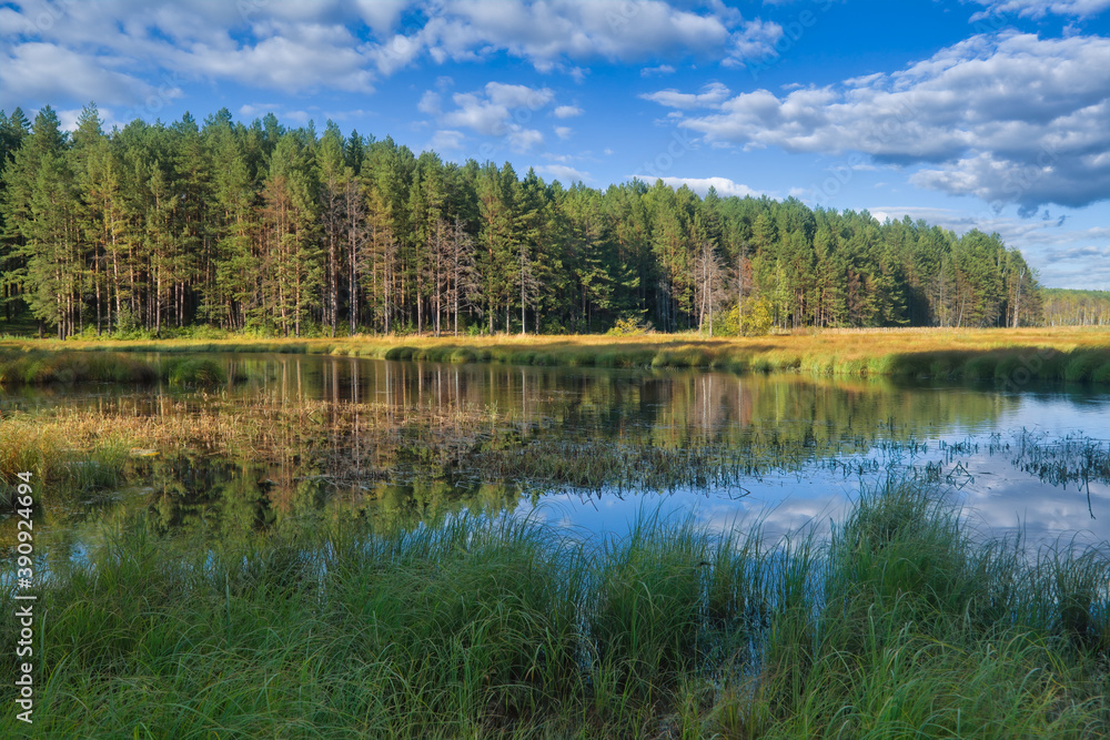 Summer landscape, forest trees are reflected in calm river water against a background of blue sky and white clouds.