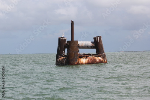 Old buoy at the coast