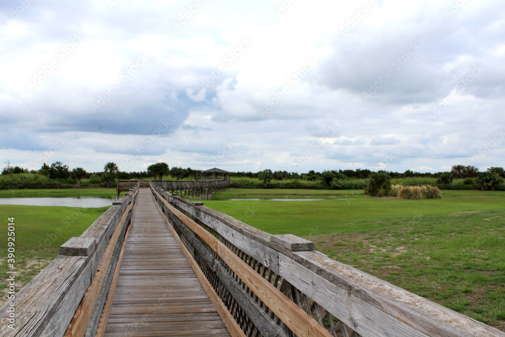 Walkway over the marsh