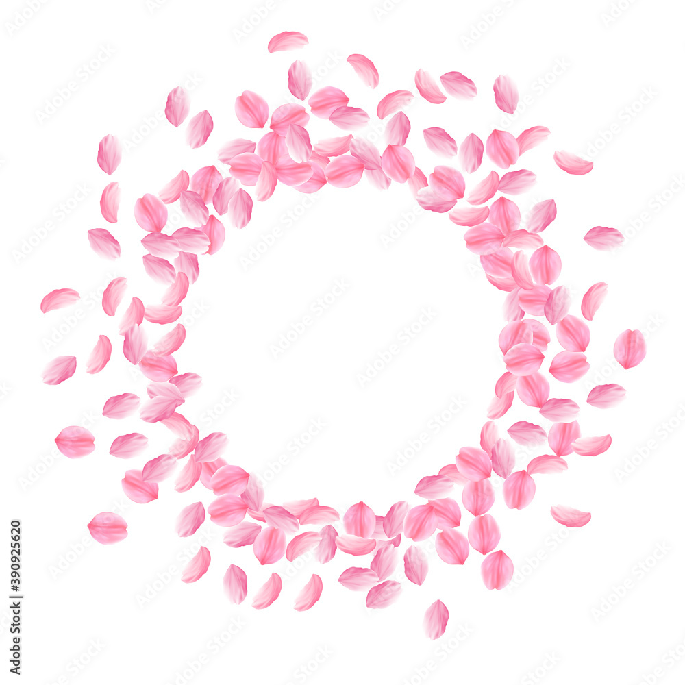 Sakura petals falling down. Romantic pink bright m Sakura petals falling down. Romantic pink bright m