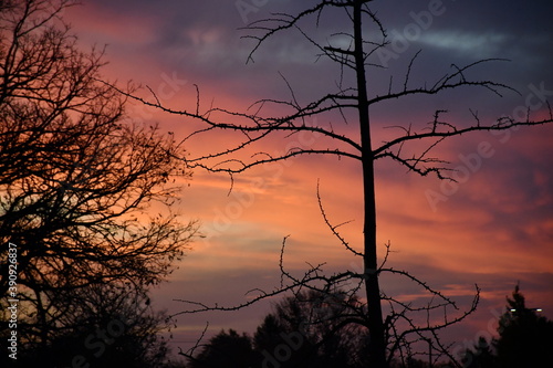 Colors of nature at sunrise photo