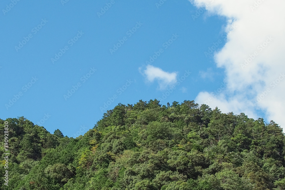 快晴で気持ちの良い青空　岐阜県 美濃市