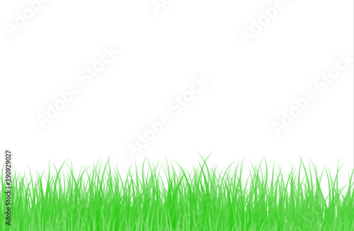 Grass background