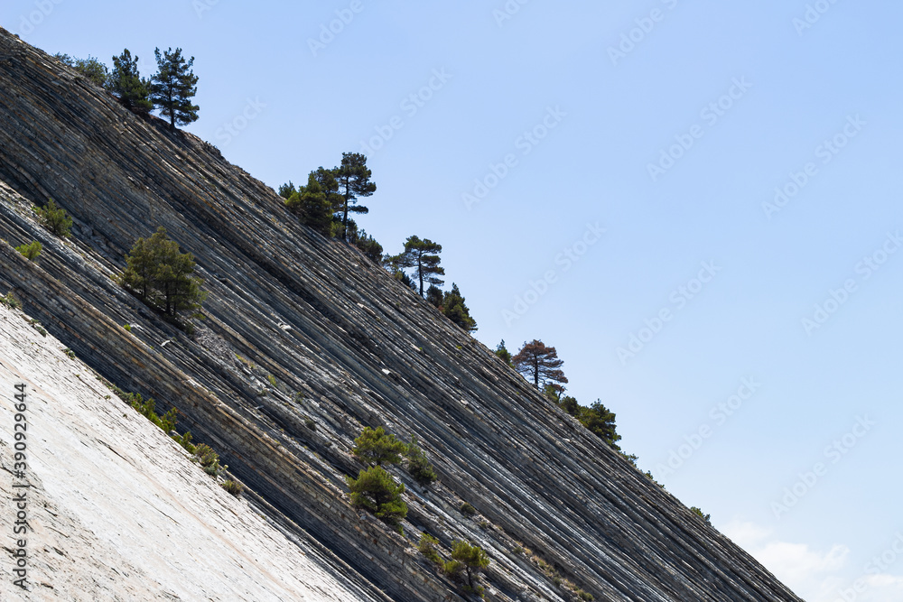 Fototapeta premium Massive gray rocks with trees against a bright blue sky in a wild beach area. Picturesque summer landscape. Steep slope and pine trees. The resort town of Gelendzhik. Russia, Black Sea coast