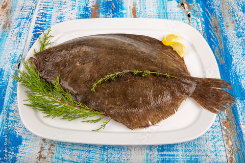 Close up Fresh Turbot fish or flatfish (Psetta maxima). Psetta maxima (Turbot Fish) on wooden floor photo