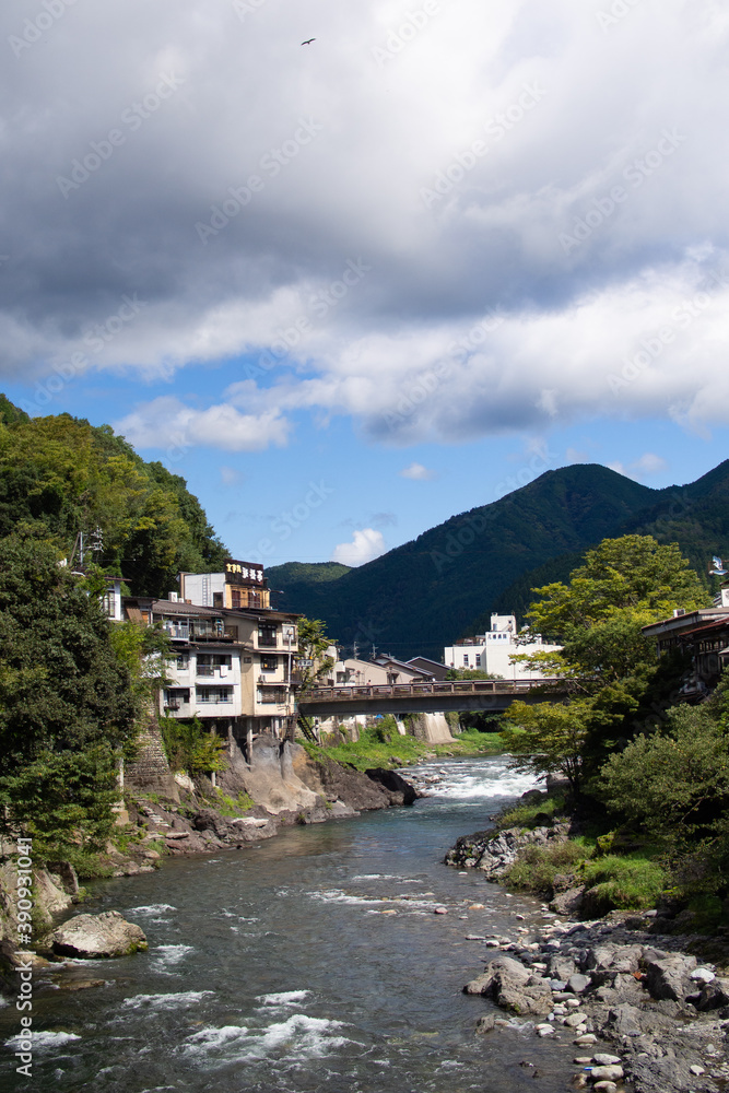 Fototapeta premium Yoshida River seen from Miyagase Bridge, Gujo City, Gifu Prefecture