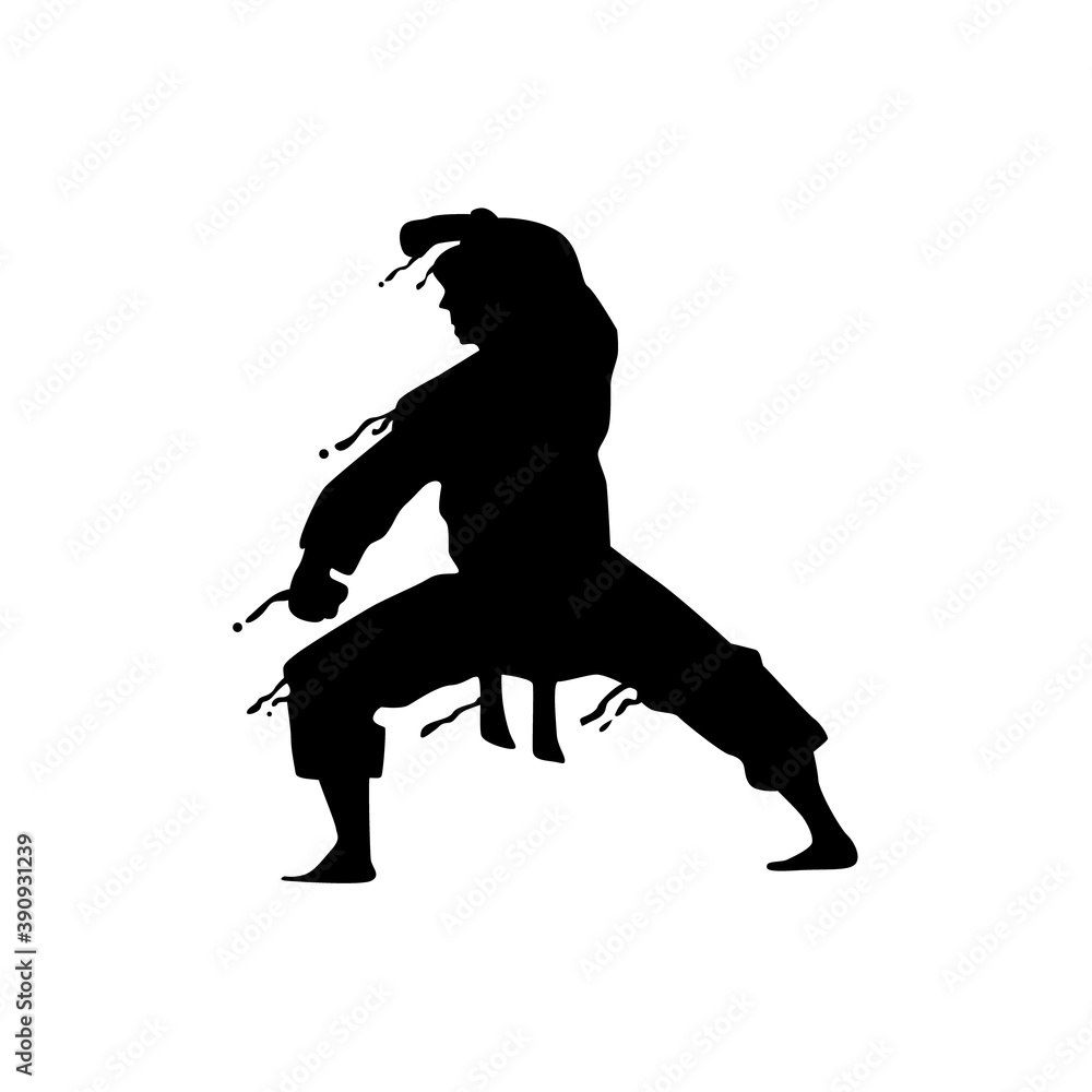Pose martial art splash silhouette design vector