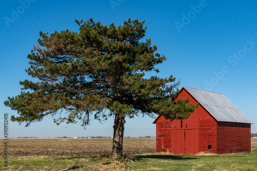 Old barn in open field with blue skies in the background. LaSalle County, Illinois, USA