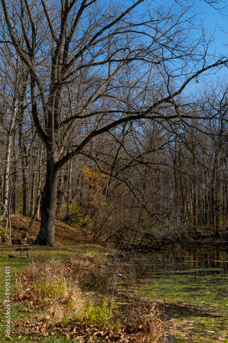 Late fall/autumn looking over the pond. Silver Creek state park, Illinois, USA.