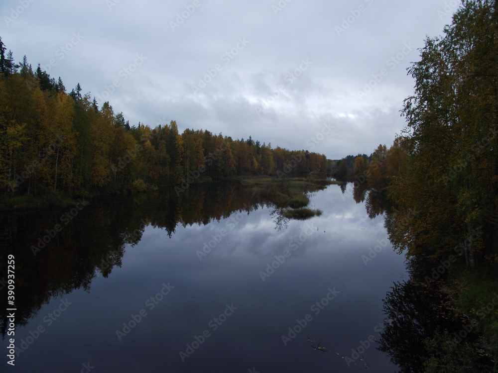 reflection of trees in the river