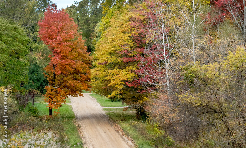 Autumn country road with fall trees in Michigan USA Autumn country road with fall trees in Michigan USA