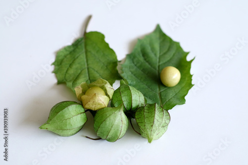 Golden berry fruit and leaf, in Indonesia called ciplukan, on white background.