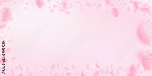 Sakura petals falling down. Romantic pink flowers 