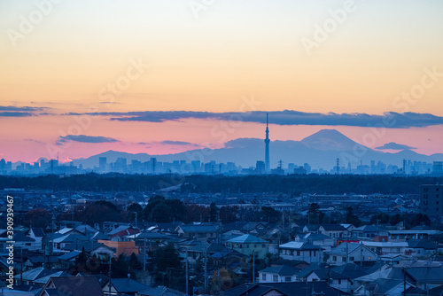 スカイツリーと富士山のツーショット夕景