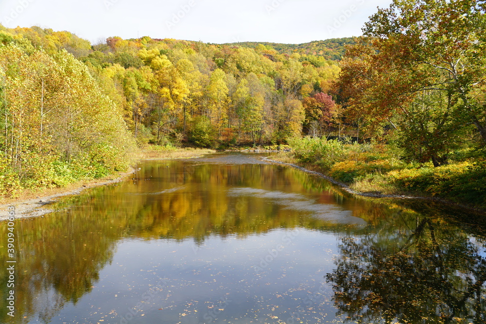 The view of the striking colors of fall foliage by the river near Tunkhannock, Pennsylvania, U.S.A The view of the striking colors of fall foliage by the river near Tunkhannock, Pennsylvania, U.S.A