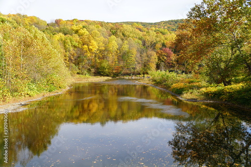 Fototapeta Naklejka Na Ścianę i Meble -  The view of the striking colors of fall foliage by the river near Tunkhannock, Pennsylvania, U.S.A