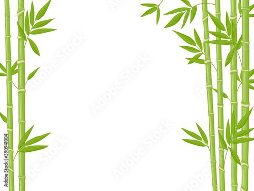 Bamboo background. Asian fresh green bamboo stalks  natural bamboo plant backdrop  stick plants with foliage vector illustration. Natural tree branches with leaves  ecological chinese plants