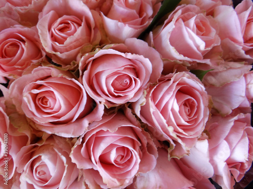 Closeup shot of a bouquet of blooming roses