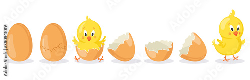 Cartoon hatched easter egg. Cracked chicken eggs with cute chicken mascot, newborn baby chick bird hatching from egg vector illustration set. Poultry cute yellow character appearance