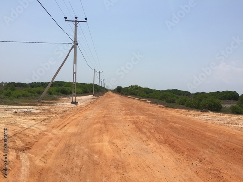 lines in the field