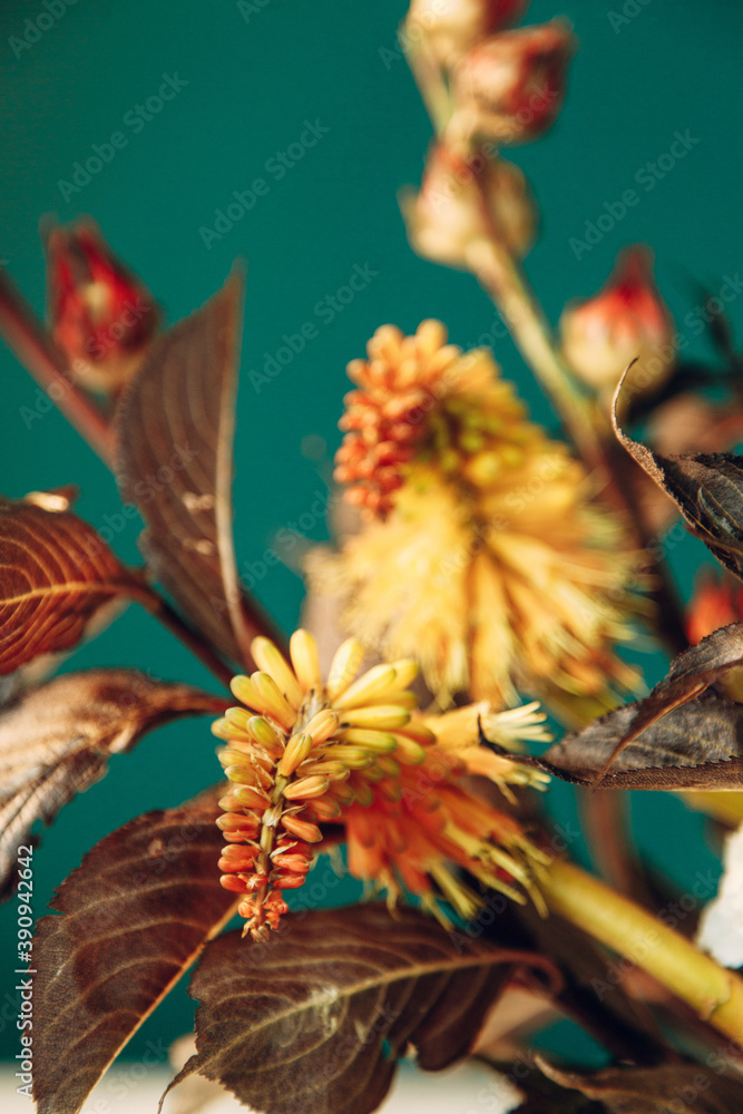 Composition of flowers in close-up. Dark empty background with a bouquet of flowers. Composition of flowers in close-up. Dark empty background with a bouquet of flowers.