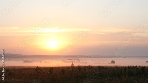 Dawn in the meadow. Colorful sunrise and fog over the field.