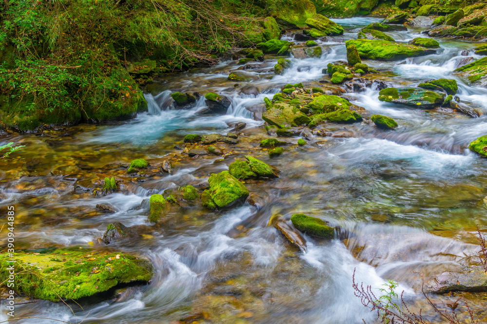Fototapeta premium Autumn scenery of Muyu Xiangxiyuan in Shennongjia, Hubei, China 