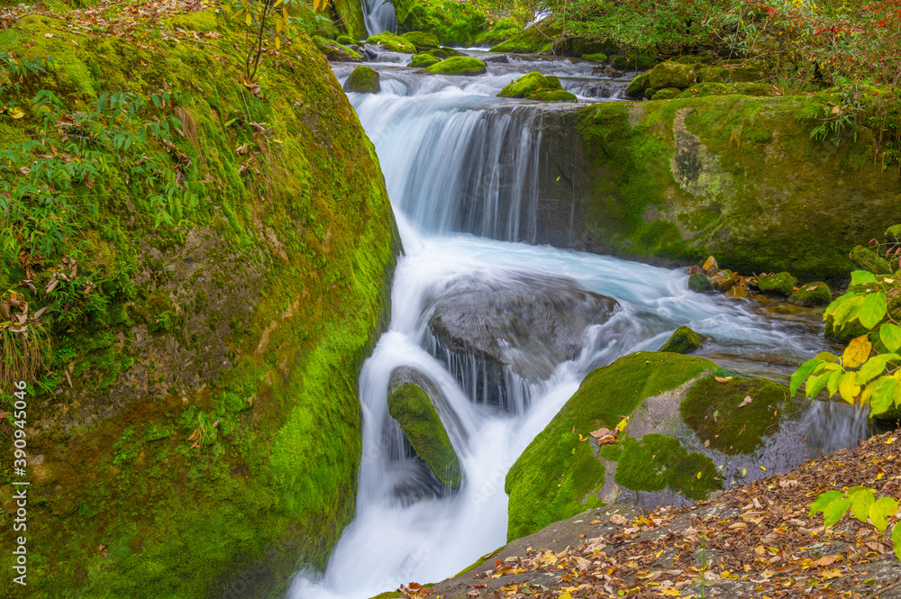 Obraz premium Autumn scenery of Muyu Xiangxiyuan in Shennongjia, Hubei, China 
