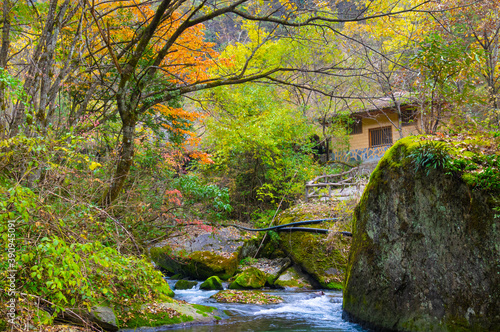 Autumn scenery of Muyu Xiangxiyuan in Shennongjia  Hubei  China 