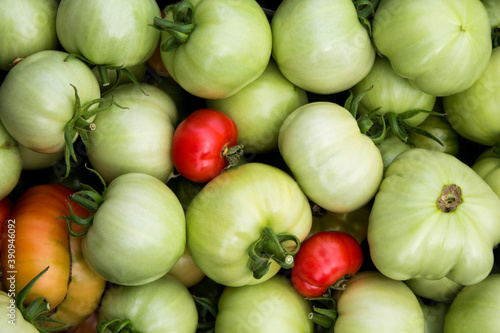 green and red tomatoes