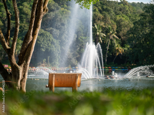 fountain in the park