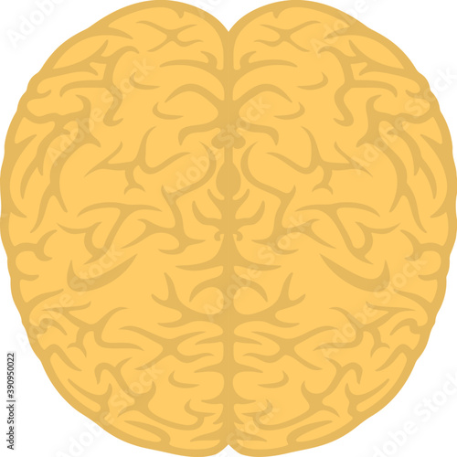 
A simple flat icon design of human brain
