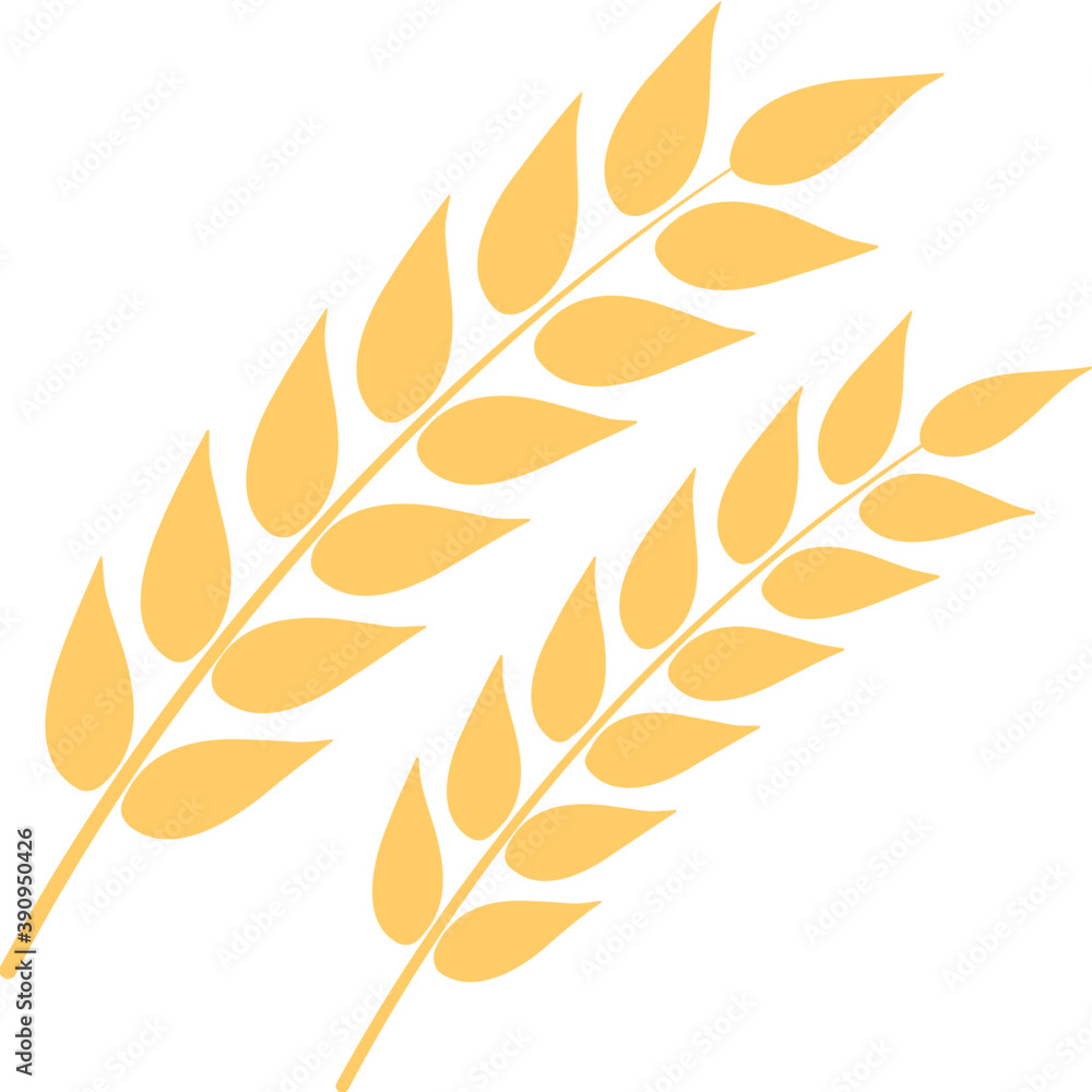 Ears of wheat or wheat spikelets flat vector icon
Ears of wheat or wheat spikelets flat vector icon