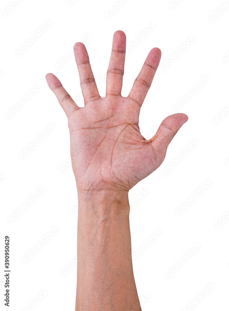 Human hand isolated Human hand isolated