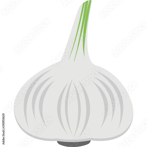 
A garlic bulb flat vector icon 
