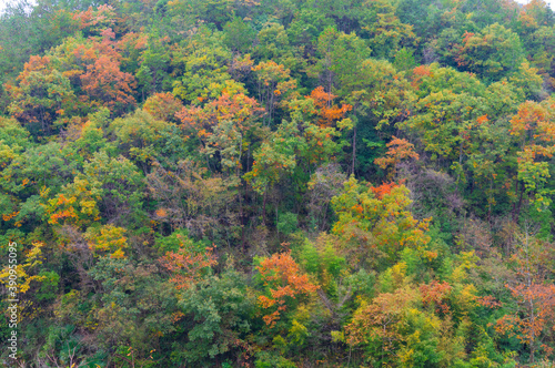 Autumn scenery of Jianshiye Three Gorges Scenic Area in Enshi, Hubei, China