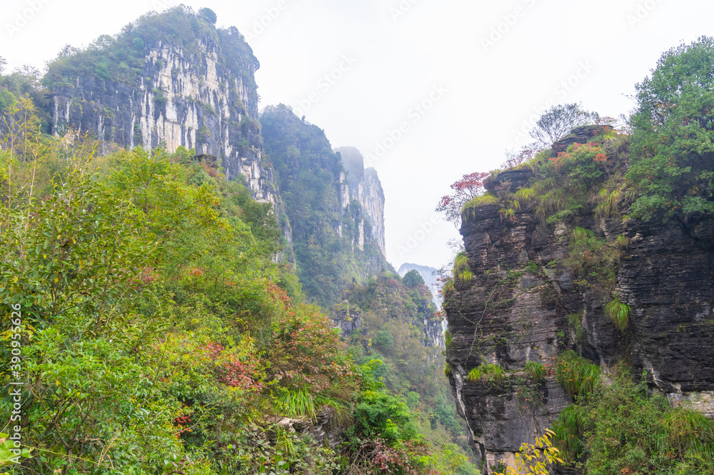 Autumn scenery of Jianshiye Three Gorges Scenic Area in Enshi, Hubei, China