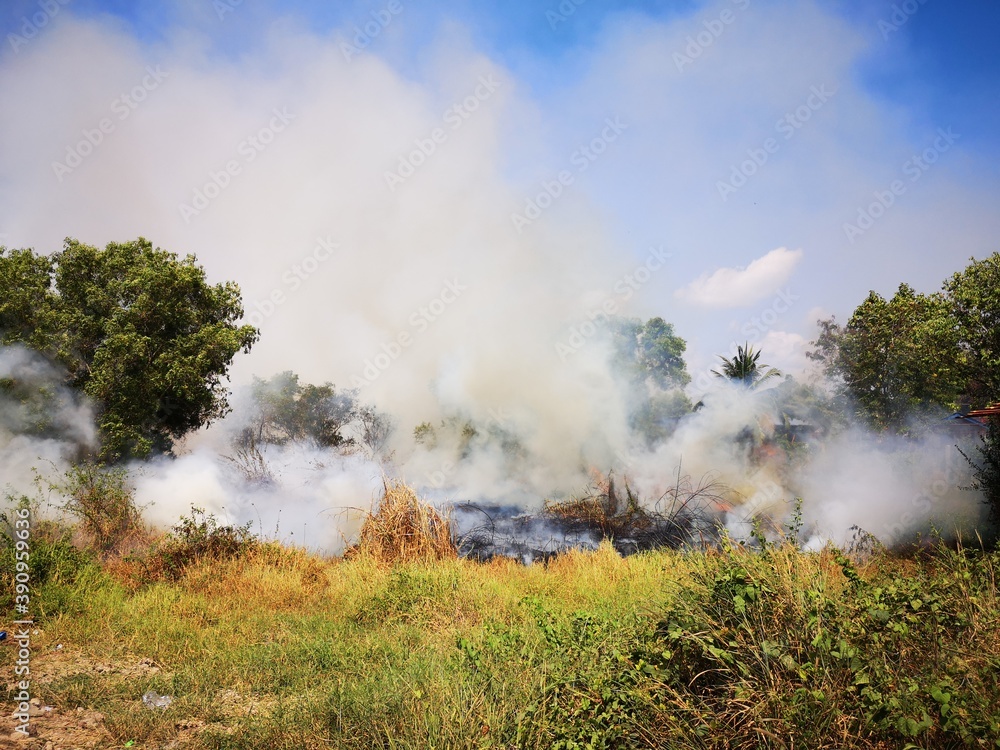 Dirty smoke caused by fire. Soaring in the sky Dirty smoke caused by fire. Soaring in the sky