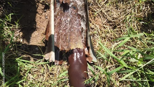 water flow out from pipe to the field.
