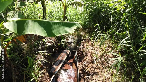 water flow out from pipe to the field.