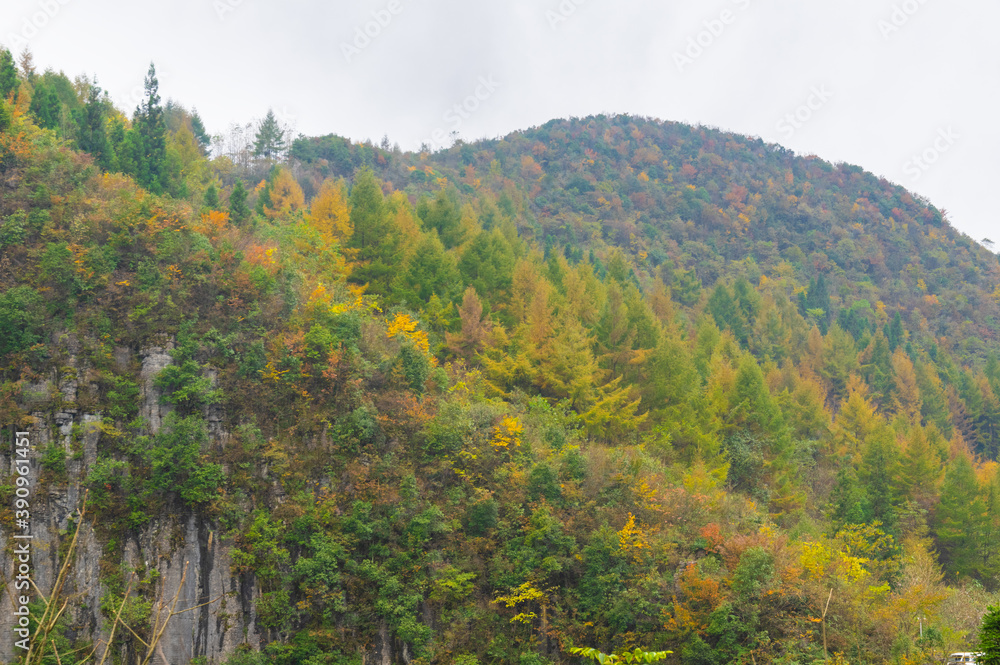 Autumn scenery of Enshi Grand Canyon Scenic Area, Hubei, China Autumn scenery of Enshi Grand Canyon Scenic Area, Hubei, China
