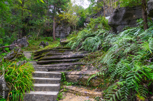 Enshi Suobuya Stone Forest Scenic Area, Hubei, China © Hao