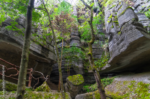 Enshi Suobuya Stone Forest Scenic Area  Hubei  China