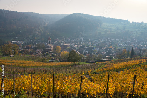 Blick auf Münchweier in der Ortenau