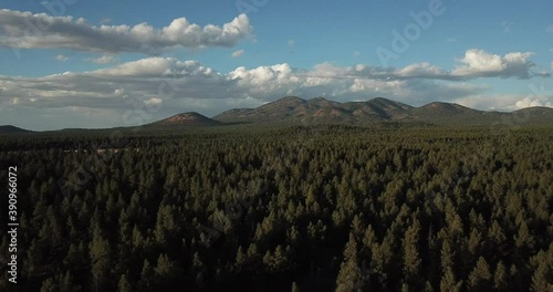 Flagstaff Arizona Forest from Above Drone Aerial Autumn Fall Flyover Isolated