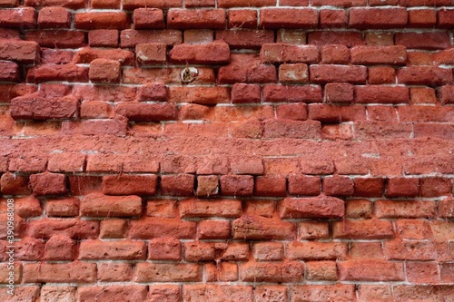 The brick background. Red brick background.