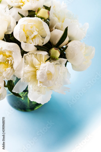 White peonies in vase