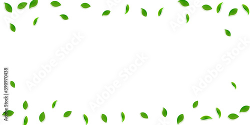 Falling green leaves. Fresh tea random leaves flyi